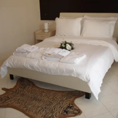 Δίκλυνο δωμάτιο του ξενοδοχείου Kyknos De Luxe στην Καστοριά